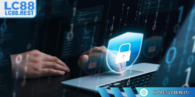 Quyền, trách nhiệm người dùng về chính sách bảo mật