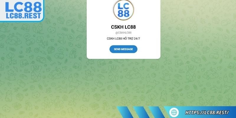 Chính sách & hỗ trợ qua chat nhanh