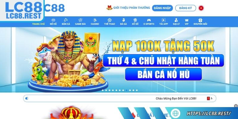 Video hướng dẫn từng bước