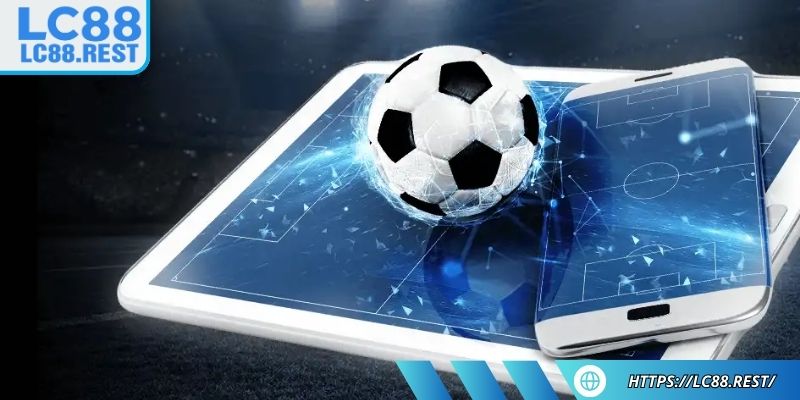 Tận dụng công cụ hỗ trợ và phân tích từ chuyên gia