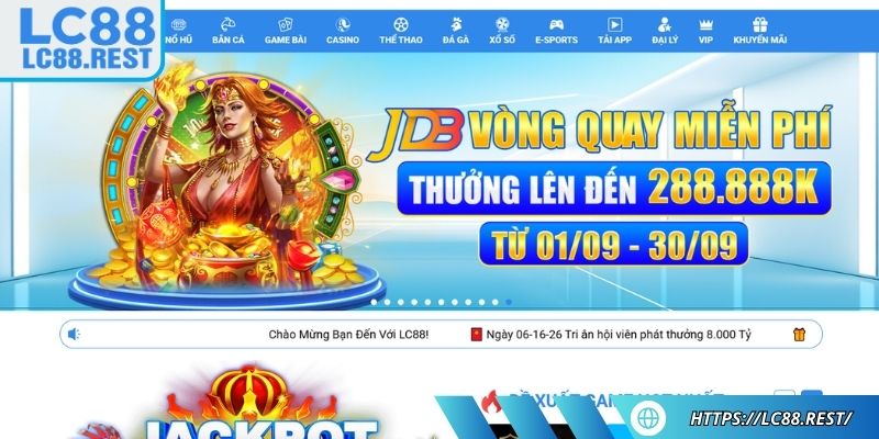 Giấy phép hoạt động