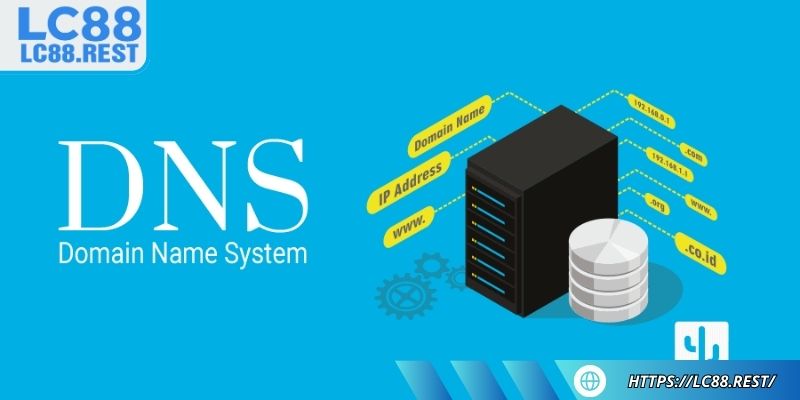 Thay đổi địa chỉ DNS